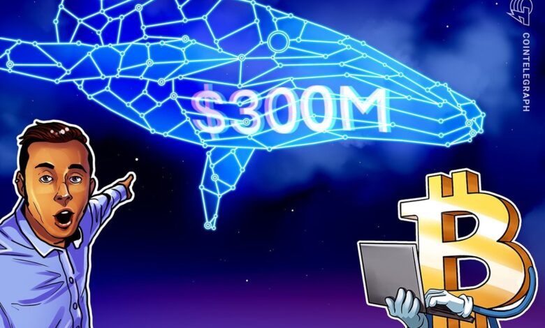 Bitcoin Whale open 0M leveraged position: James Wynn alt?