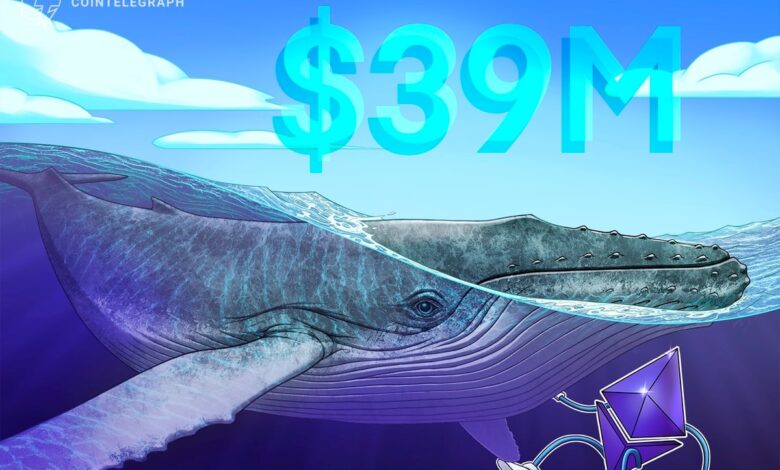 Ethereum Whale Stacks M in ETH Despite Ether Falling Harder Than Bitcoin