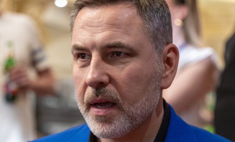David Walliams ‘makes Nazi salute’ at BBC recording of Would I Lie to You, ‘angering’ Rob Brydon