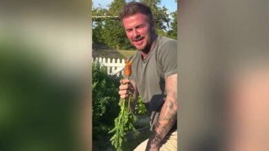 David Beckham has Victoria in stitches over his wonky carrot | Lifestyle