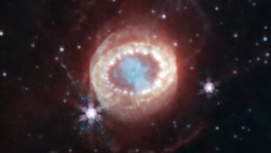 Cosmic discovery could shed light on black holes in distant galaxies