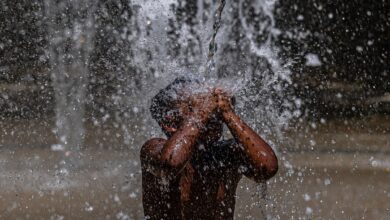Heat wave: States of emergency declared across multiple US cities as thousands face triple digit temperatures