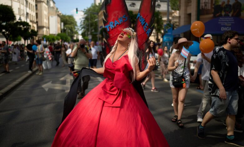 PHOTO COLLECTION:World Pride Parades