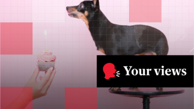 ‘Worth every penny’ or ‘a bit OTT’? Readers debate the rise of expensive dog birthday parties