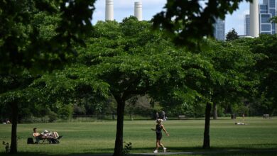 UK set for mini-heatwave as temperatures to soar to 29 degrees