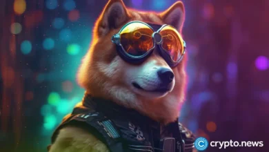 Shiba Inu price crashes as it eyes a crucial support