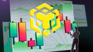 BNB Rally To 9 Possible After Maxwell Upgrade