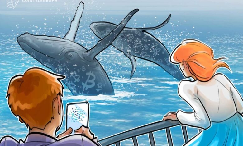 Satoshi-Era Bitcoin Whale Shifts Last Of Stack To Galaxy Digital Satoshi-Era Bitcoin Whale Shifts Last Of Stack To Galaxy Digital