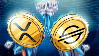 XLM Could Follow XRP’s Rally And Break  In 2025