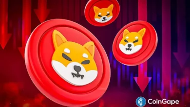Why Shiba Inu Price Keeps Falling?