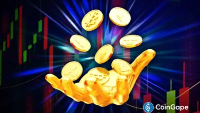 Top Gainers, Trends, and Key Events