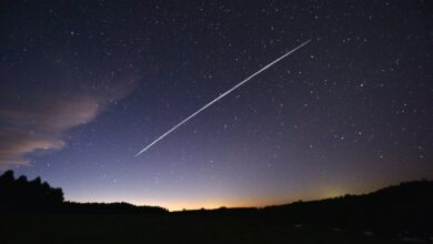 Fast internet is getting in the way of understanding the universe, scientists warn