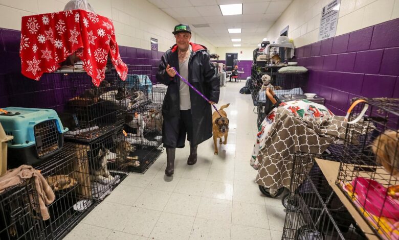 How to prepare your pets for when a hurricane makes it rain cats and dogs How to prepare your pets for when a hurricane makes it rain cats and dogs