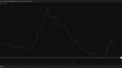Pi Coin’s First Bounce in Weeks Sparks Bullish Divergence: Price Rally Ahead?