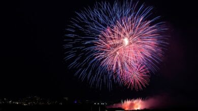 Fireworks light the night sky across the country on Independence Day