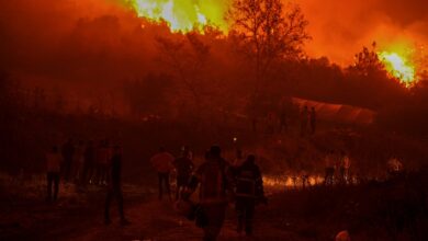 Turkey wildfires hit fourth largest city as 14 killed in blazes sparked by record 50C heatwave