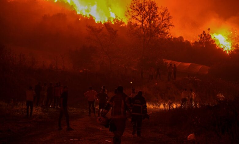 Turkey wildfires hit fourth largest city as 14 killed in blazes sparked by record 50C heatwave Turkey wildfires hit fourth largest city as 14 killed in blazes sparked by record 50C heatwave