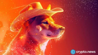 The Shiba Inu price rally could be shortlived