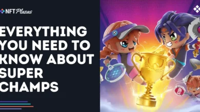 Everything You Need to Know About Super Champs