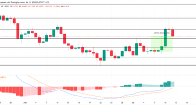 3 Pump.Fun Ecosystem Coins to Watch Amid PUMP Token Launch