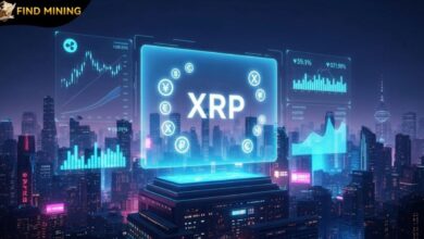 XRP Bulls Are Rising Strongly, and FINDMINING Reports Increased User Interest Amid the XRP Trend