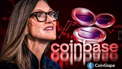 Cathie Wood Buys the Dips After COIN Stock Crashes 16% Following Q2 Report