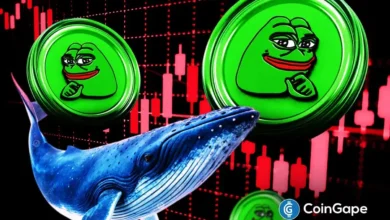 Pepe Coin Price Crashes, But Funding Rate, Whale Action Point to a Rebound