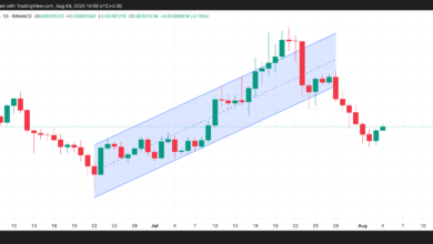 Shiba Inu Slides—But Whale Activity and HODLing Pattern Say Recovery Is Near